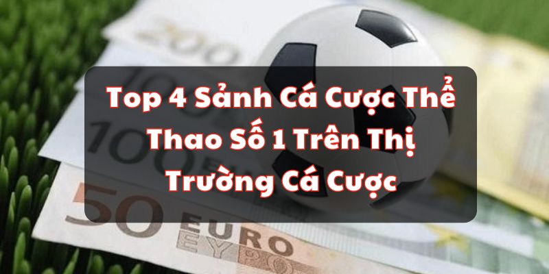 Top 4 Sảnh Cá Cược Thể Thao Số 1 Trên Thị Trường Cá Cược