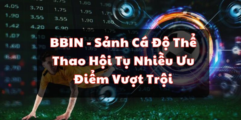 BBIN - Sảnh Cá Độ Thể Thao Hội Tụ Nhiều Ưu Điểm Vượt Trội