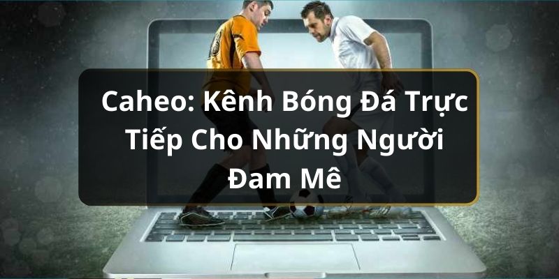 Caheo: Kênh Bóng Đá Trực Tiếp Cho Những Người Đam Mê